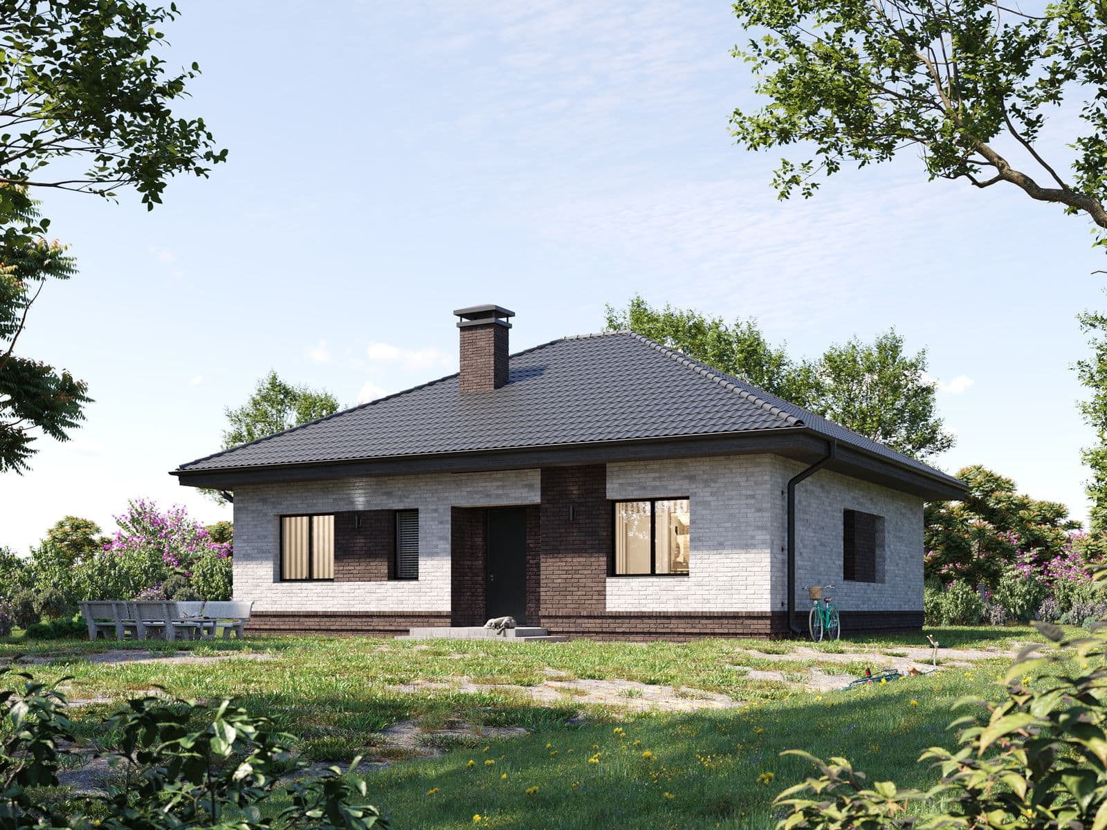 Project image